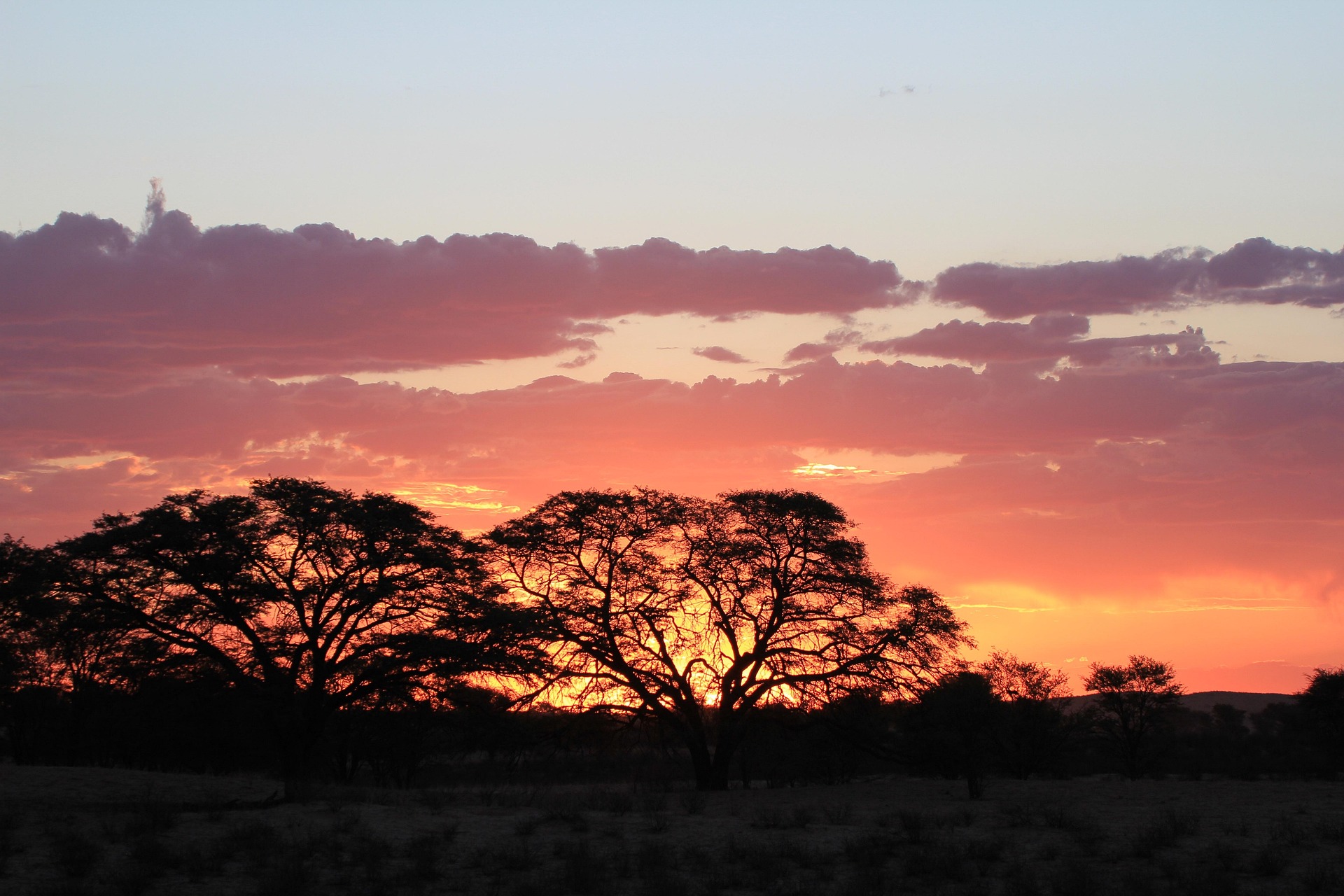 Kalahari night safaris now include star-trackers
