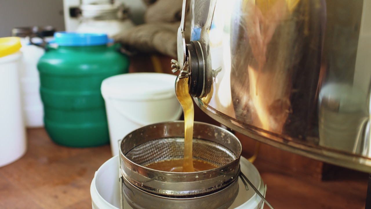 Stream of golden liquid honey flowing from equipment through a sieve into a white bucket