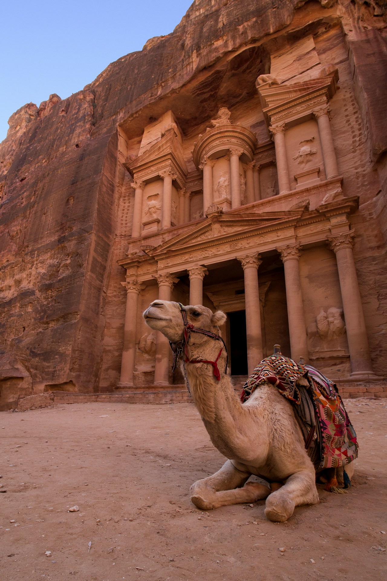 Camel resting near sandstone rock formations in desert light