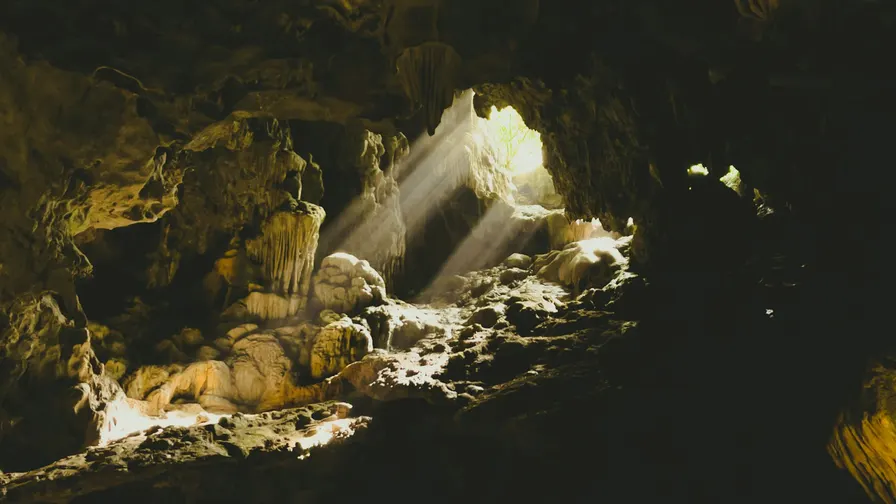 Waitomo’s glowworms are carnivorous larvae pretending to be stars